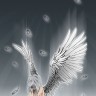 angel_by_litu.jpg